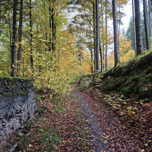 Zum Arnsberg und Kreuzberg
