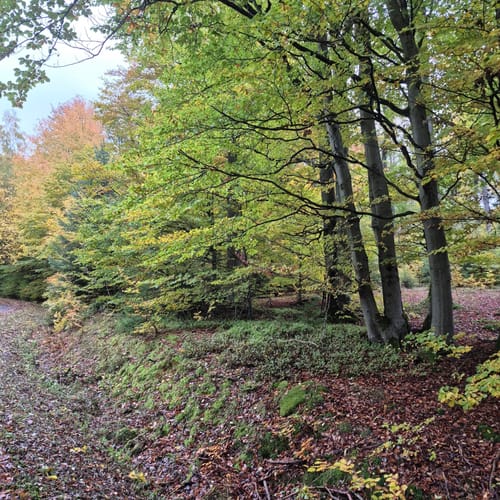 Zum Arnsberg und Kreuzberg