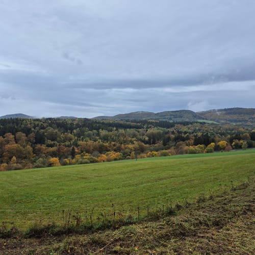 Zum Arnsberg und Kreuzberg