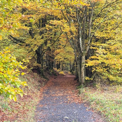 Zum Arnsberg und Kreuzberg