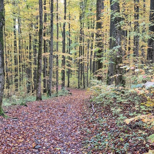 Zum Arnsberg und Kreuzberg