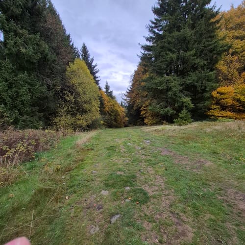 Zum Arnsberg und Kreuzberg