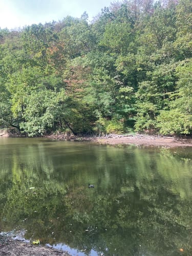 Römerkanal-Wanderweg Etappe 7: Brühl - Sülz