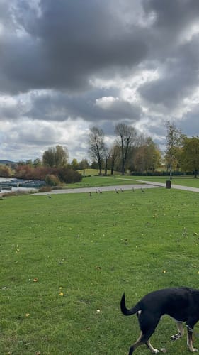 Rund um den Bucher Stausee