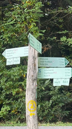 Vom Köpfel Ziegelhausen über das Michaelskloster