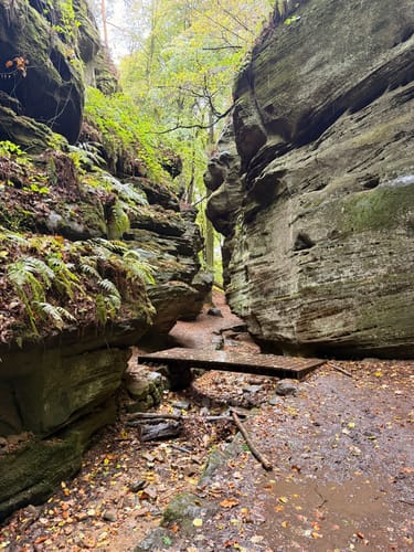Müllerthal Trail Route 2: Echternach - Consdorf