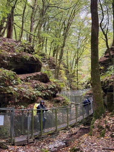 Müllerthal Trail Route 2: Echternach - Consdorf