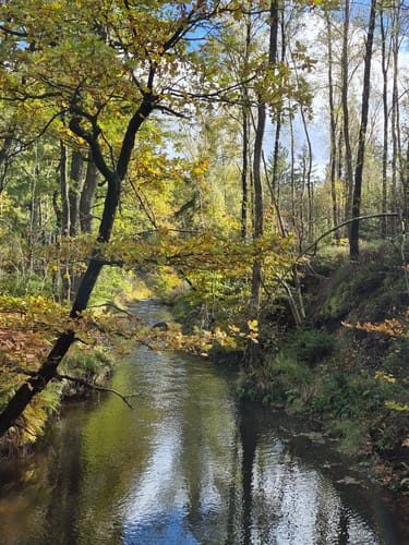 Von Roetgen ins Hohe Venn