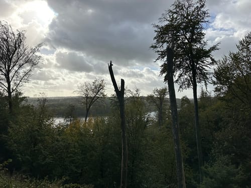 Schellenberger Wald Rundweg
