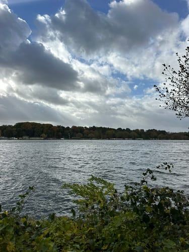 Schellenberger Wald Rundweg