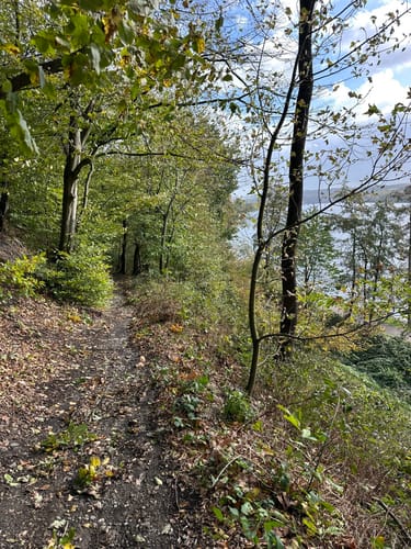 Schellenberger Wald Rundweg