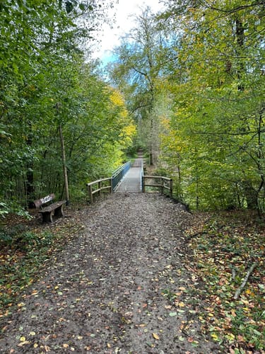Schellenberger Wald Rundweg