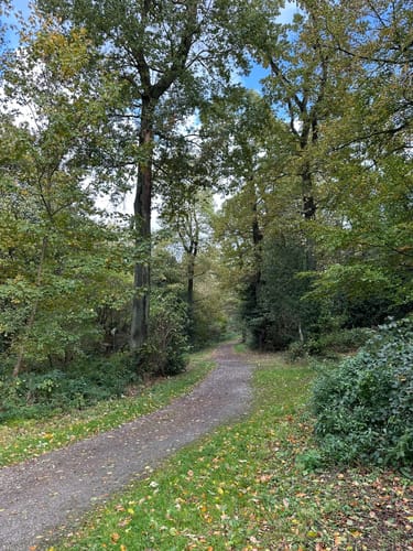 Schellenberger Wald Rundweg