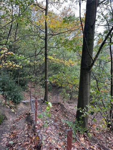 Schellenberger Wald Rundweg