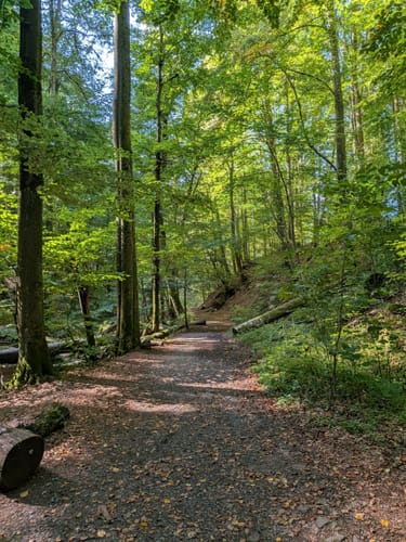 Rhön-Rundweg 4 Moordorf