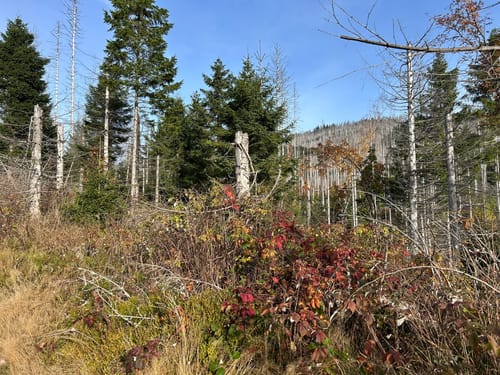 Brockentour Harzer Wandernadel