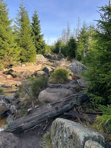 Brockentour Harzer Wandernadel