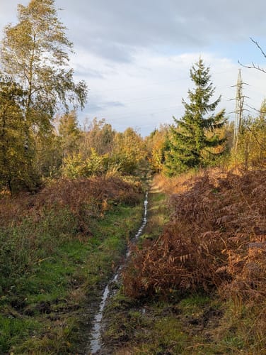 Rundwanderweg A1 Grevenhagen