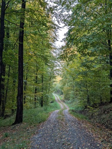 Rundwanderweg A1 Grevenhagen