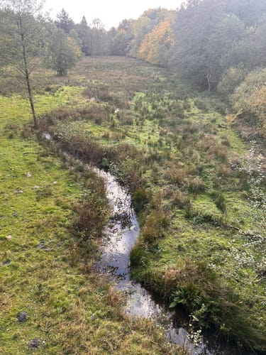 Aussichtsturm Brookbäke im Hasbruch