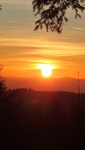 Westweg Etappe 3: Forbach - Unterstmatt