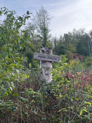 Zuschauerwanderung