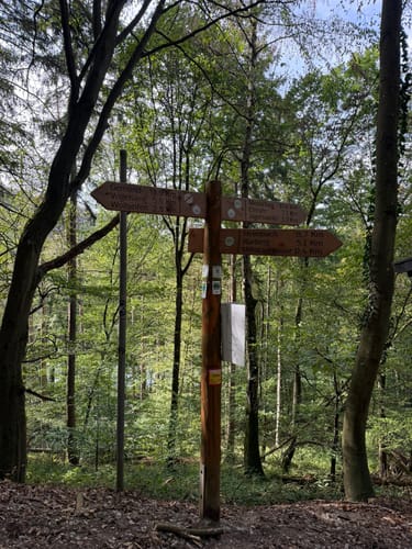 Zuschauerwanderung