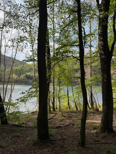 Zuschauerwanderung