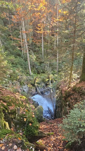 Arberschutzhaus nach Bodenmais