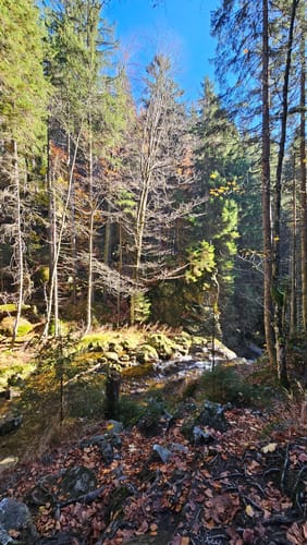 Arberschutzhaus nach Bodenmais