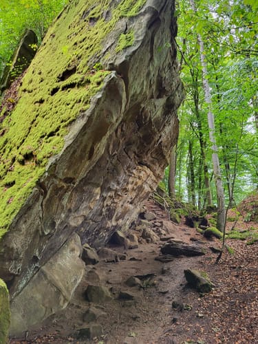Felsenweg 6 - Teufelsschlucht (NaturWanderPark deluxe)