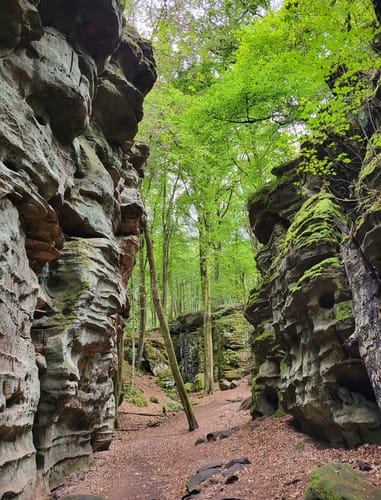 Felsenweg 6 - Teufelsschlucht (NaturWanderPark deluxe)