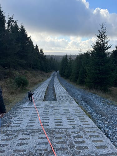 Auf dem Goetheweg zum Brocken