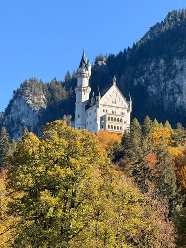 Alpsee Rundweg