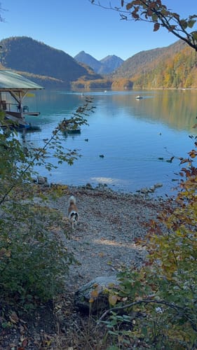 Alpsee Rundweg