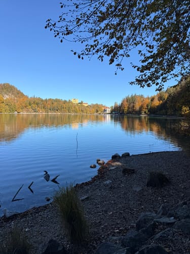 Alpsee Rundweg