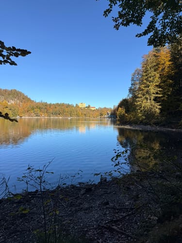 Alpsee Rundweg