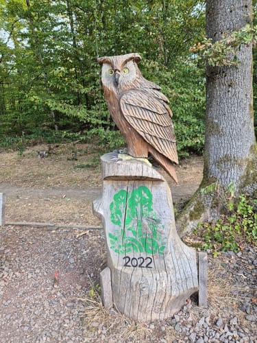Urwald Tour (Premiumwanderweg)
