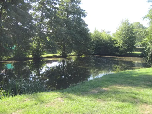 Les Sorinières les meilleurs itinéraires pour camper AllTrails