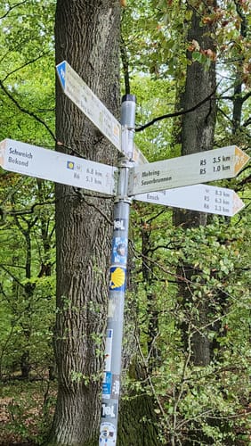 Moselsteig Etappe 6: Schweich - Mehring