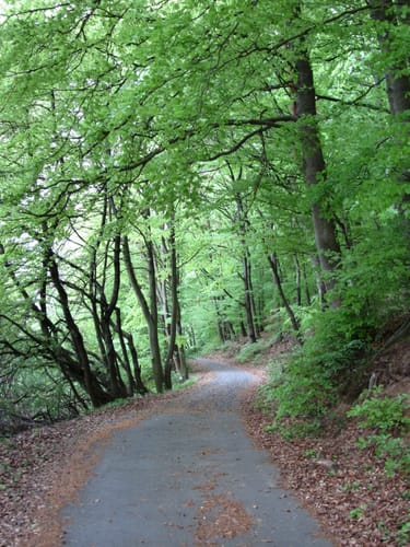 Waschenbach nach Neutsch