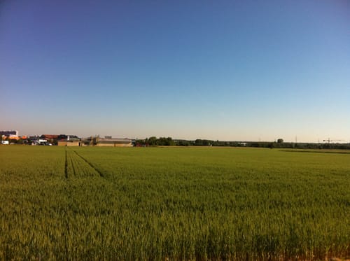 RuDi - Rund um Dietzenbach