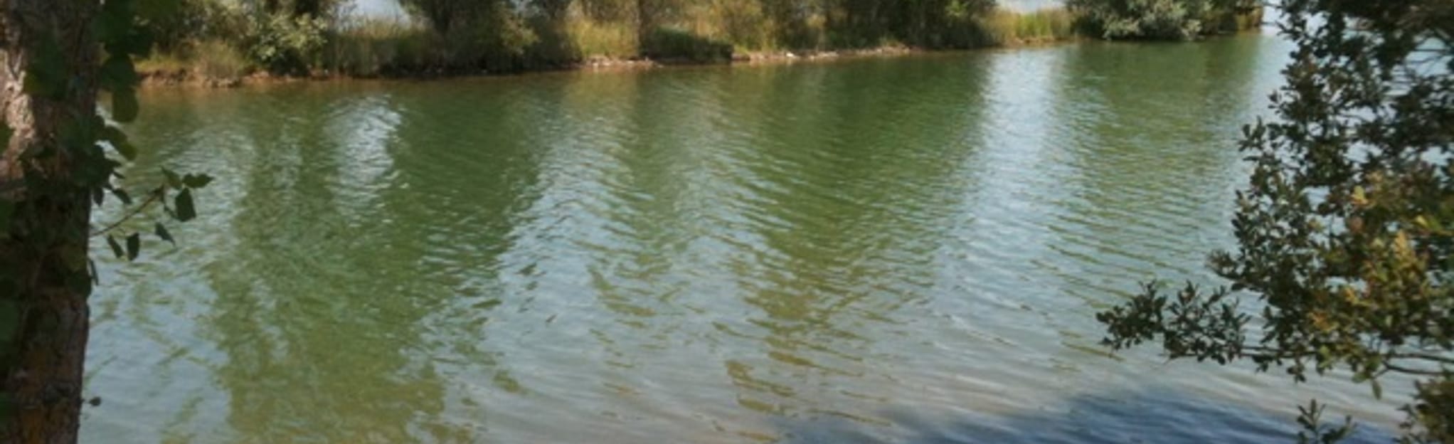 Lac des 4 Photos HauteGaronne, France Randonnée AllTrails