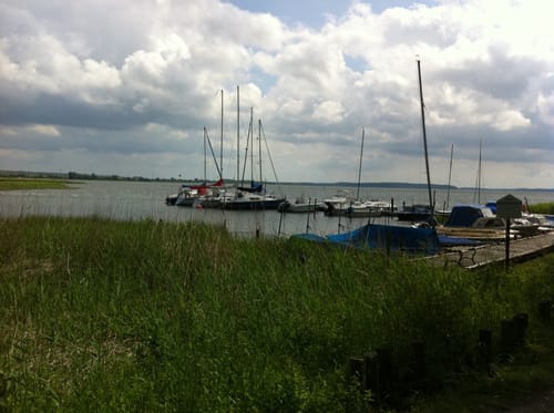 Sagaard - Breege