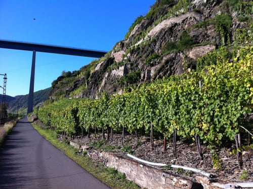 Mosel Radweg Etappe 10: Löf - Koblenz
