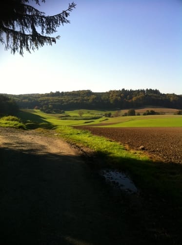 Rundwanderweg Fischbachtal 1 : Panoramaweg