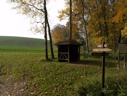Wyhra-Wanderweg:  Gnandstein - Streitwald