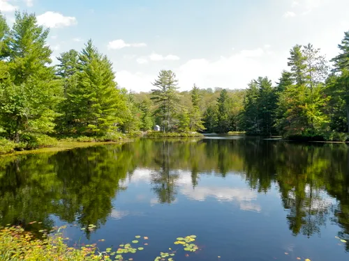 2023 Best Hard Trails in Queen Elizabeth II Woodlands Provincial Park ...