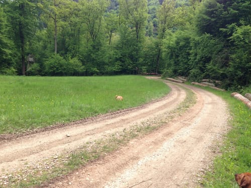 Rund um den Hinterwald