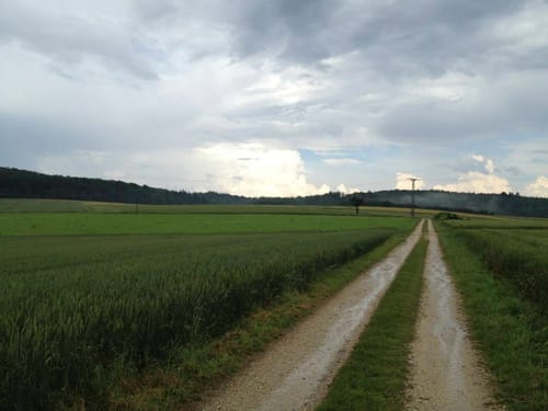 Vogtei-Rundwanderweg